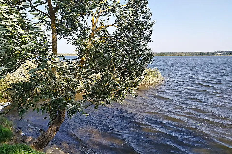 Свирь, Мядельский район, Минская область, Беларусь 01