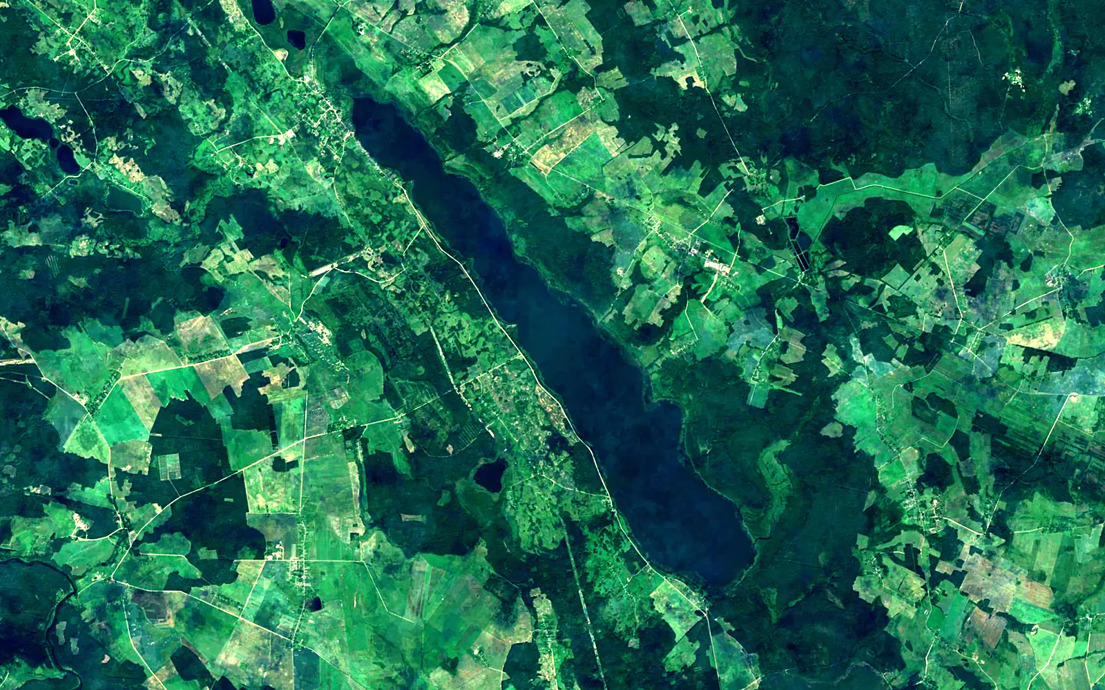 Svir Lake seen from space (Sentinel-2)