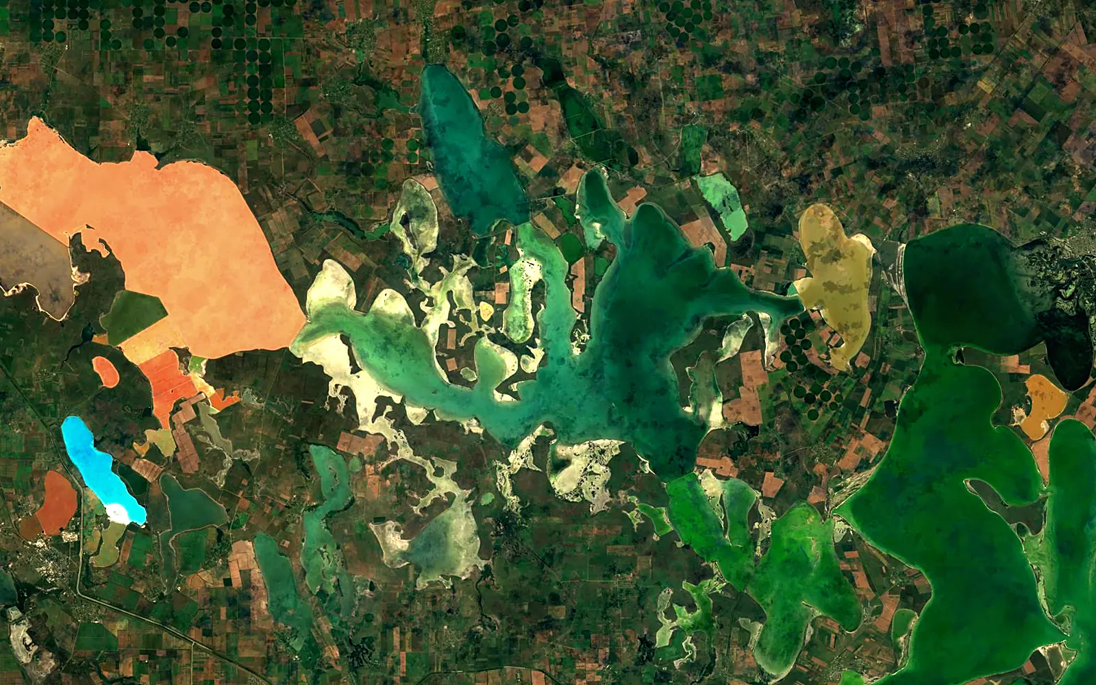 Syvash Bay seen from space (Sentinel-2)