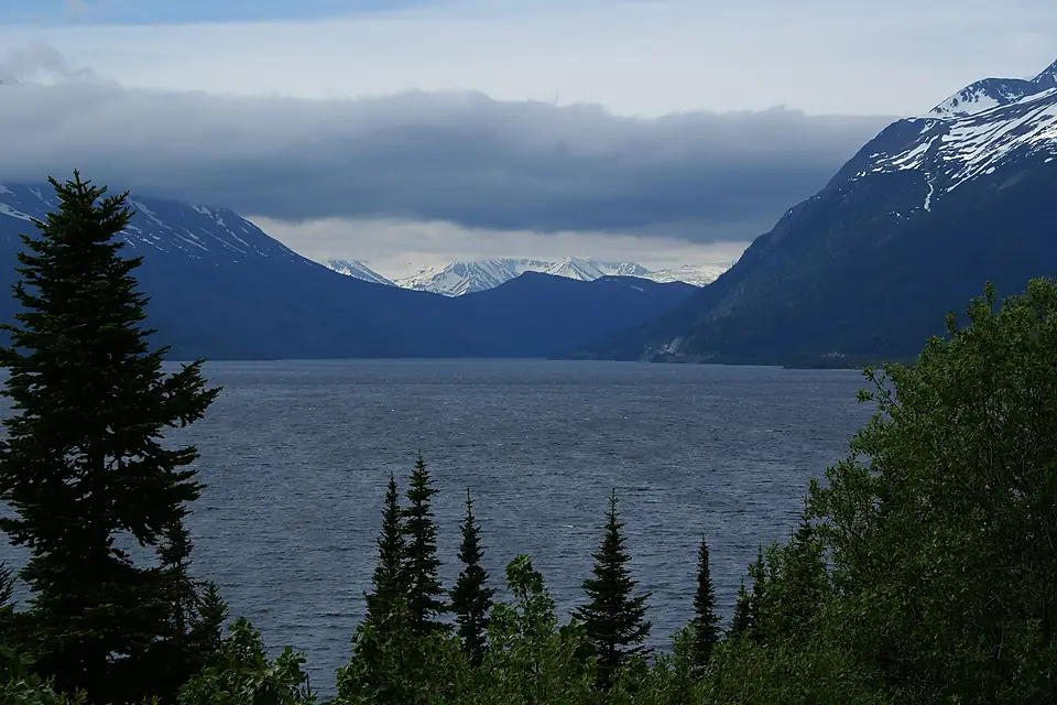 2008 - Tagish Lake