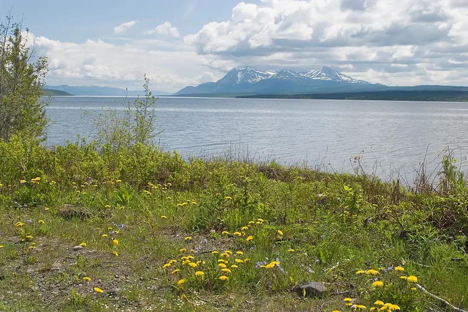 Teslin Lake