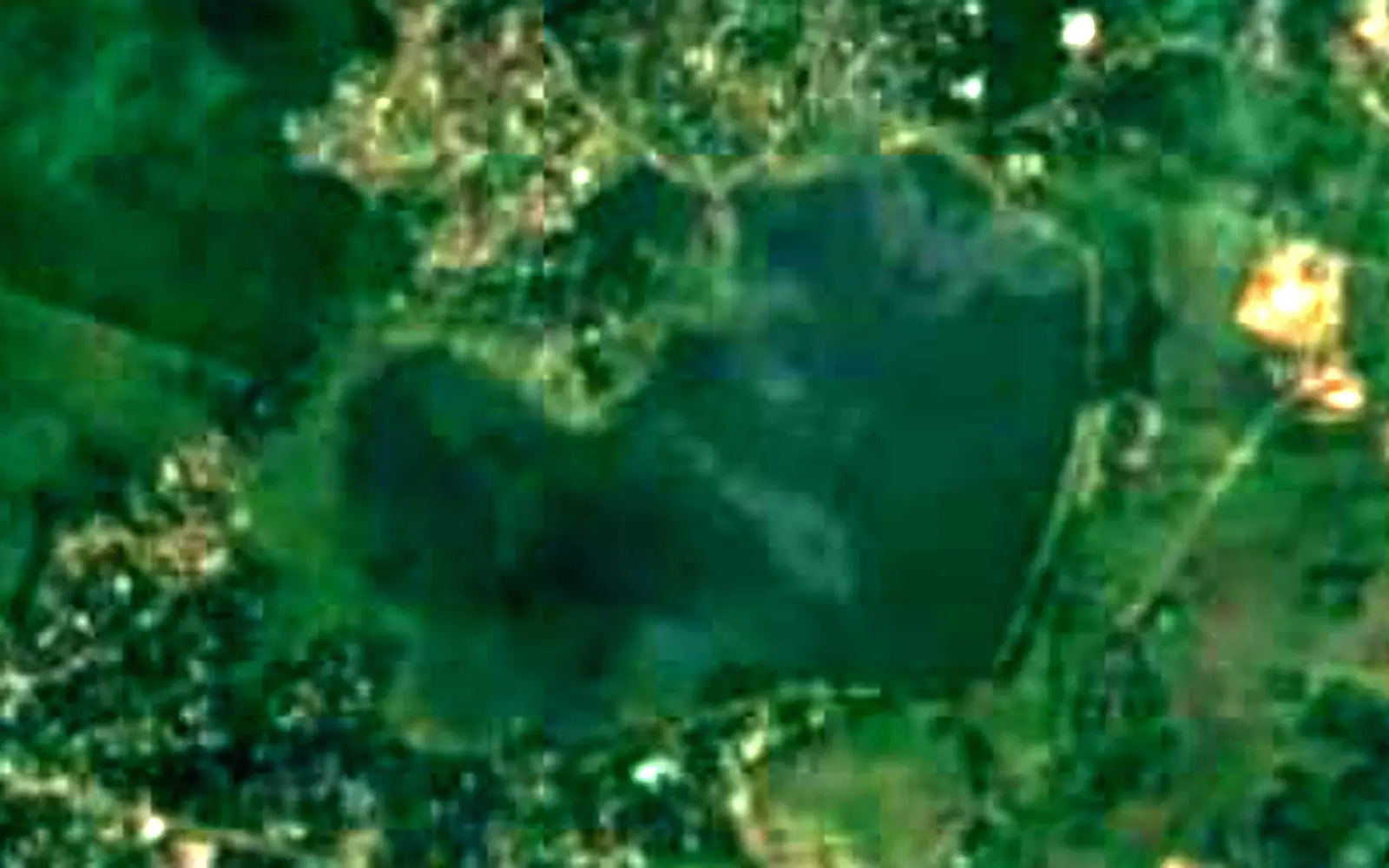 Tissa Wewa seen from space (Sentinel-2)