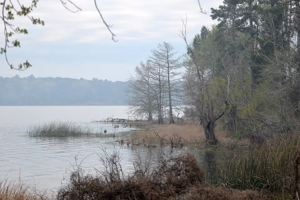 Sabine National Forest, Toledo Bend Reservoir, Texas