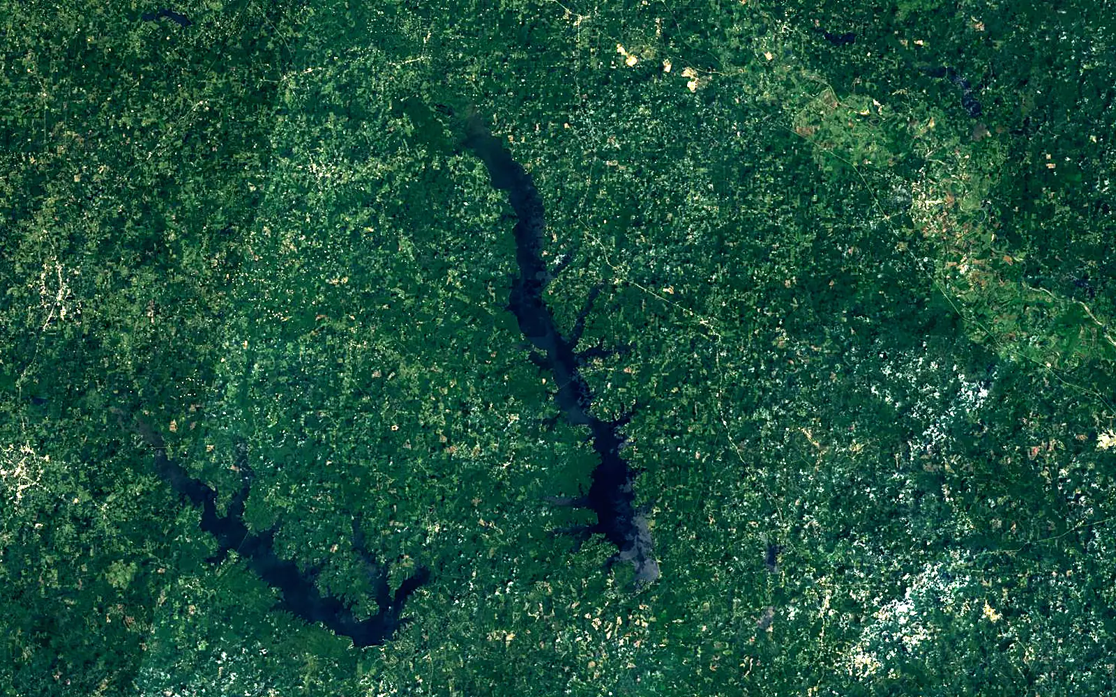 Toledo Bend Reservoir seen from space (Sentinel-2)
