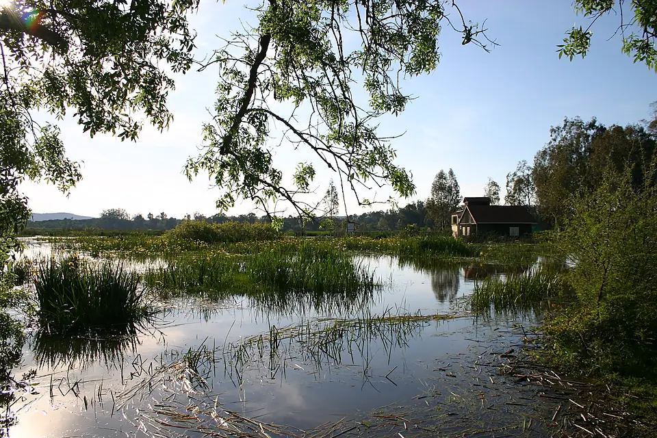 Lac Tonga 02