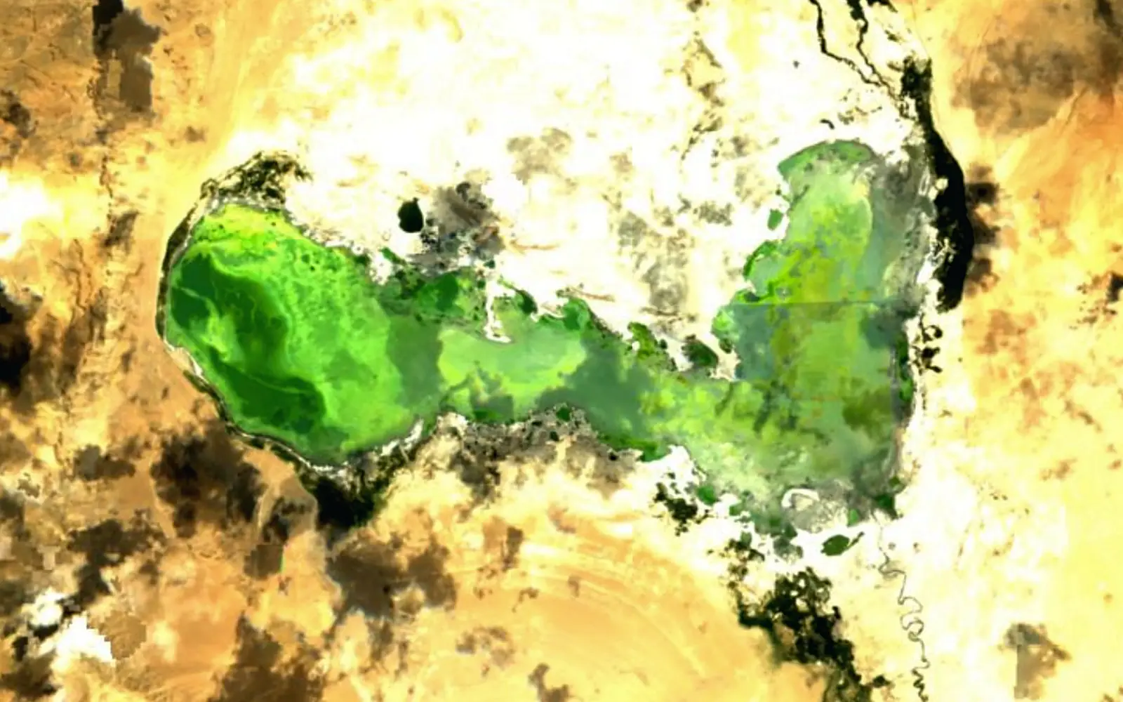 Tso Kar seen from space (Sentinel-2)