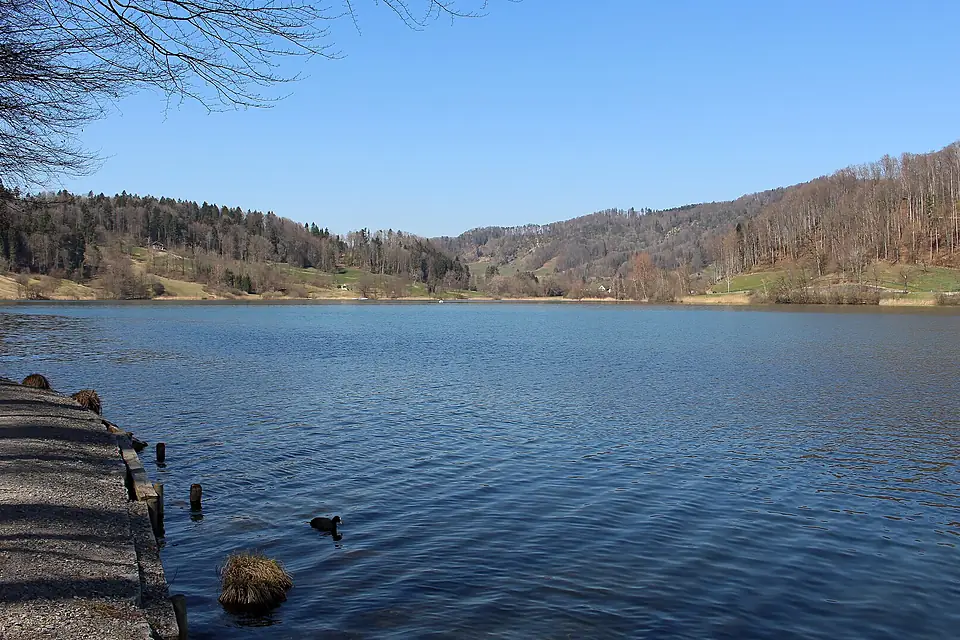 Naturschutzgebiet Türlersee