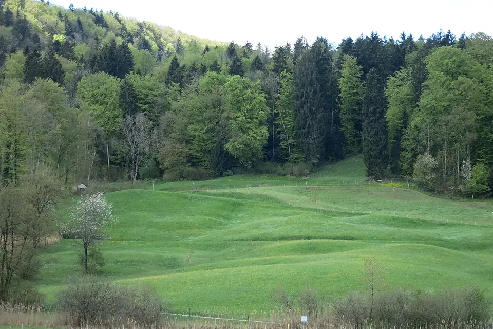 Türlersee Bergsturzgebiet