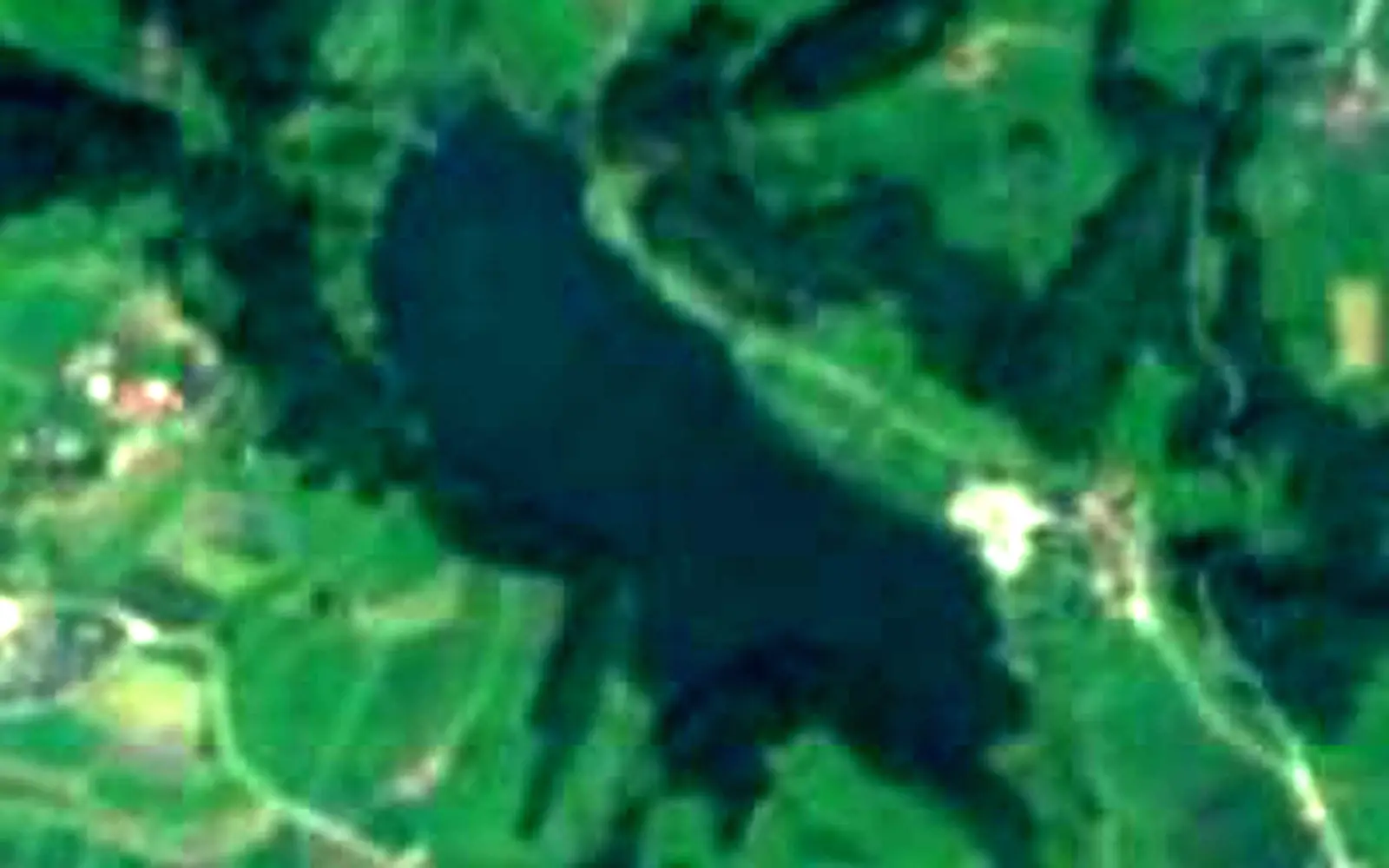 Türlersee seen from space (Sentinel-2)