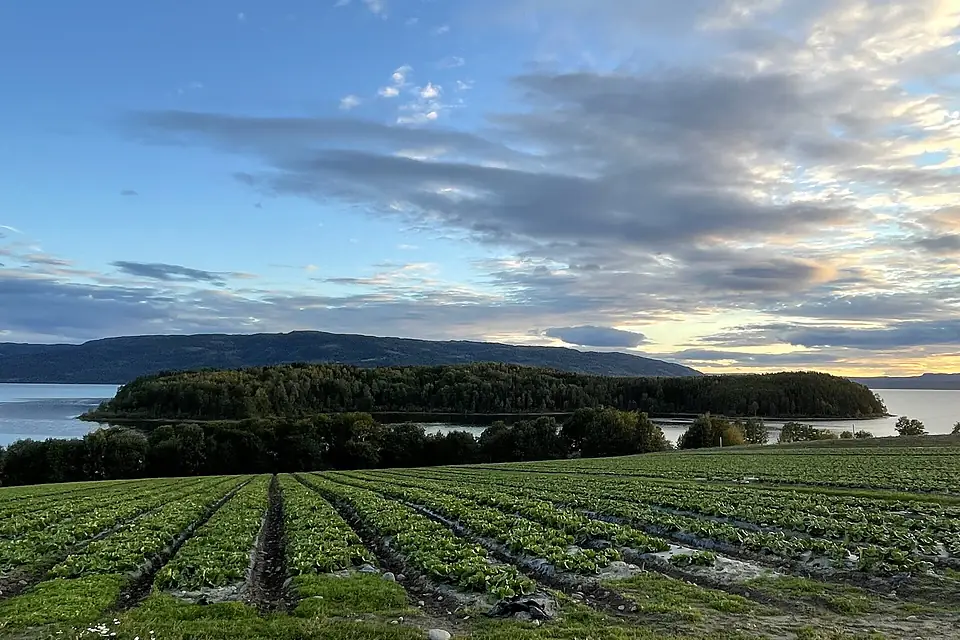 Frognøya i Tyrifjorden sett fra Bønsnesveien, Hole kommune (2)