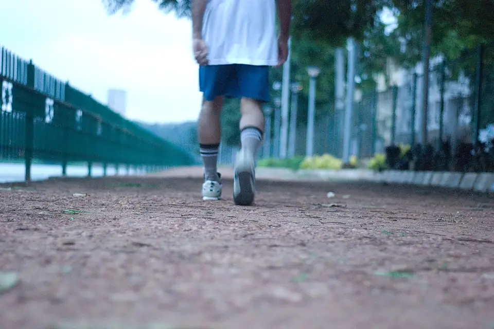 Path at Ulsoor Lake