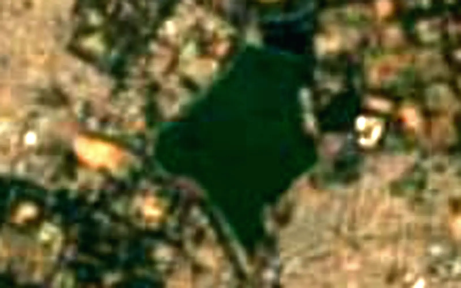 Ulsoor Lake seen from space (Sentinel-2)
