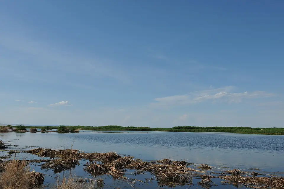 中国新疆阿勒泰地区福海县 China Xinjiang Altay Fuhai County China Xi - panoramio (3)