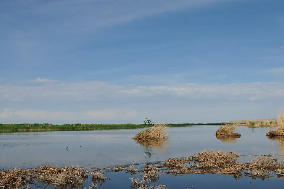 中国新疆阿勒泰地区福海县 China Xinjiang Altay Fuhai County China Xi - panoramio (4)