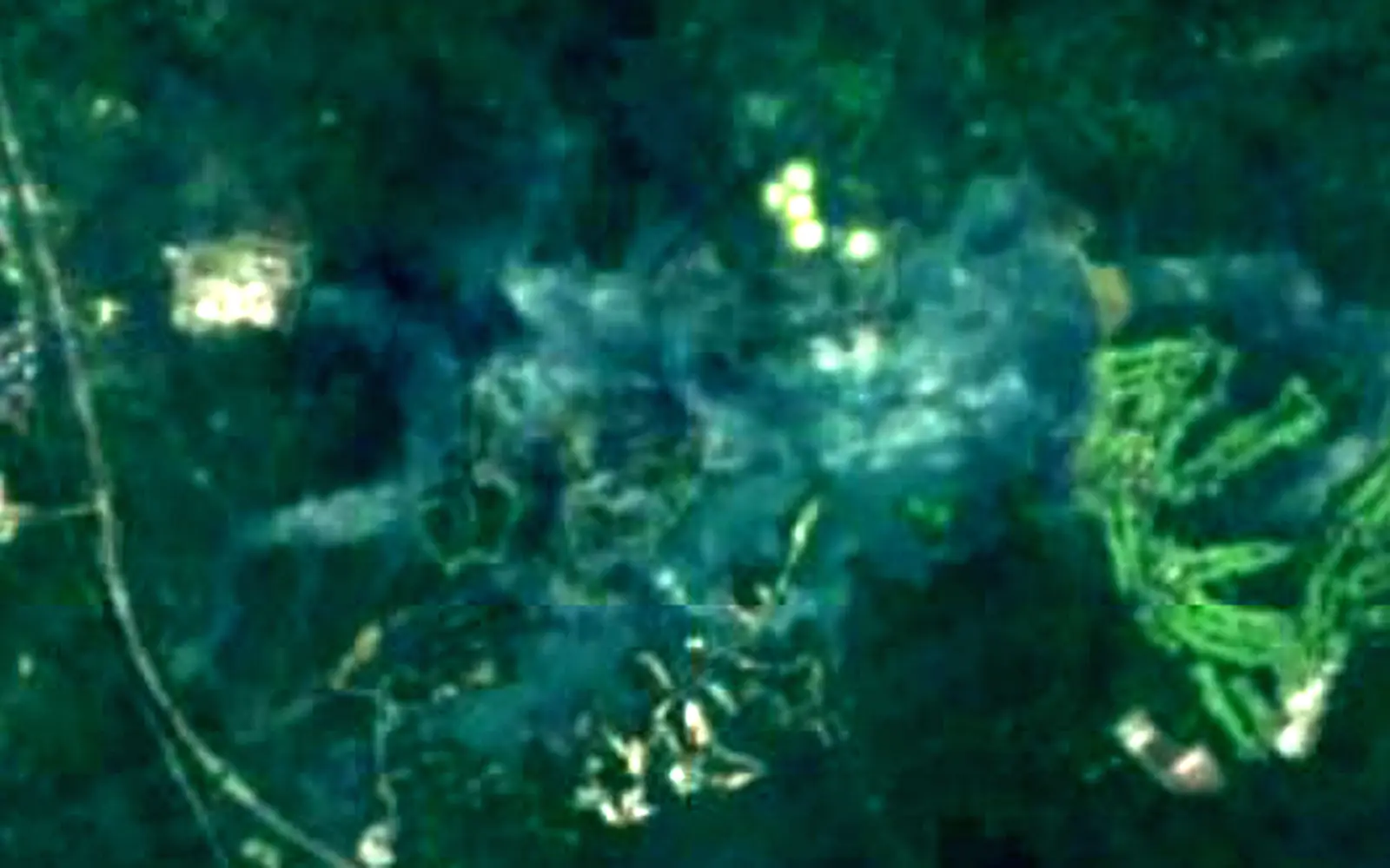 Upper Peirce Reservoir seen from space (Sentinel-2)
