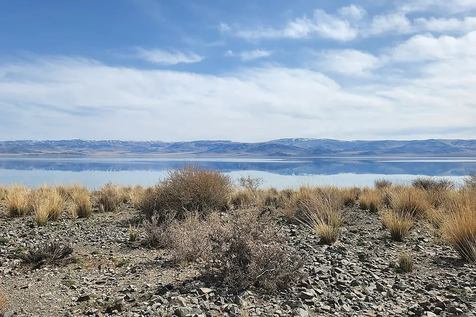 Uureg Lake landscape 2022