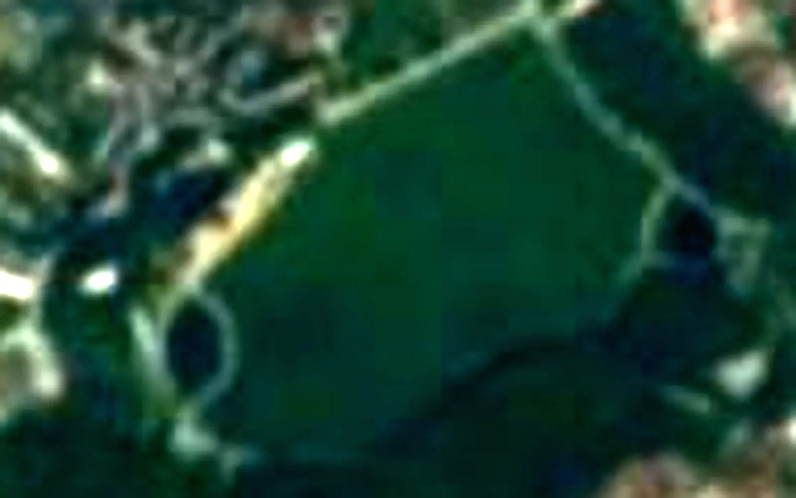 Valea Morilor lake seen from space (Sentinel-2)