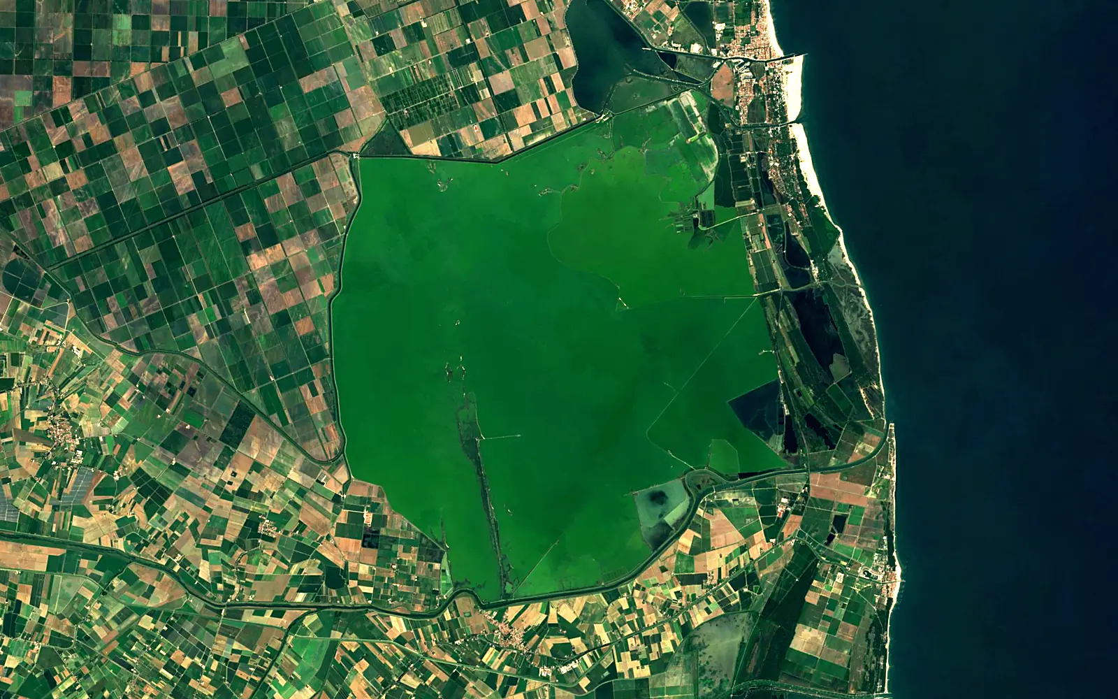 Valli di Comacchio seen from space (Sentinel-2)