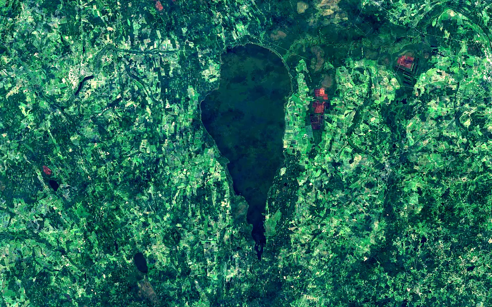 Võrtsjärv seen from space (Sentinel-2)