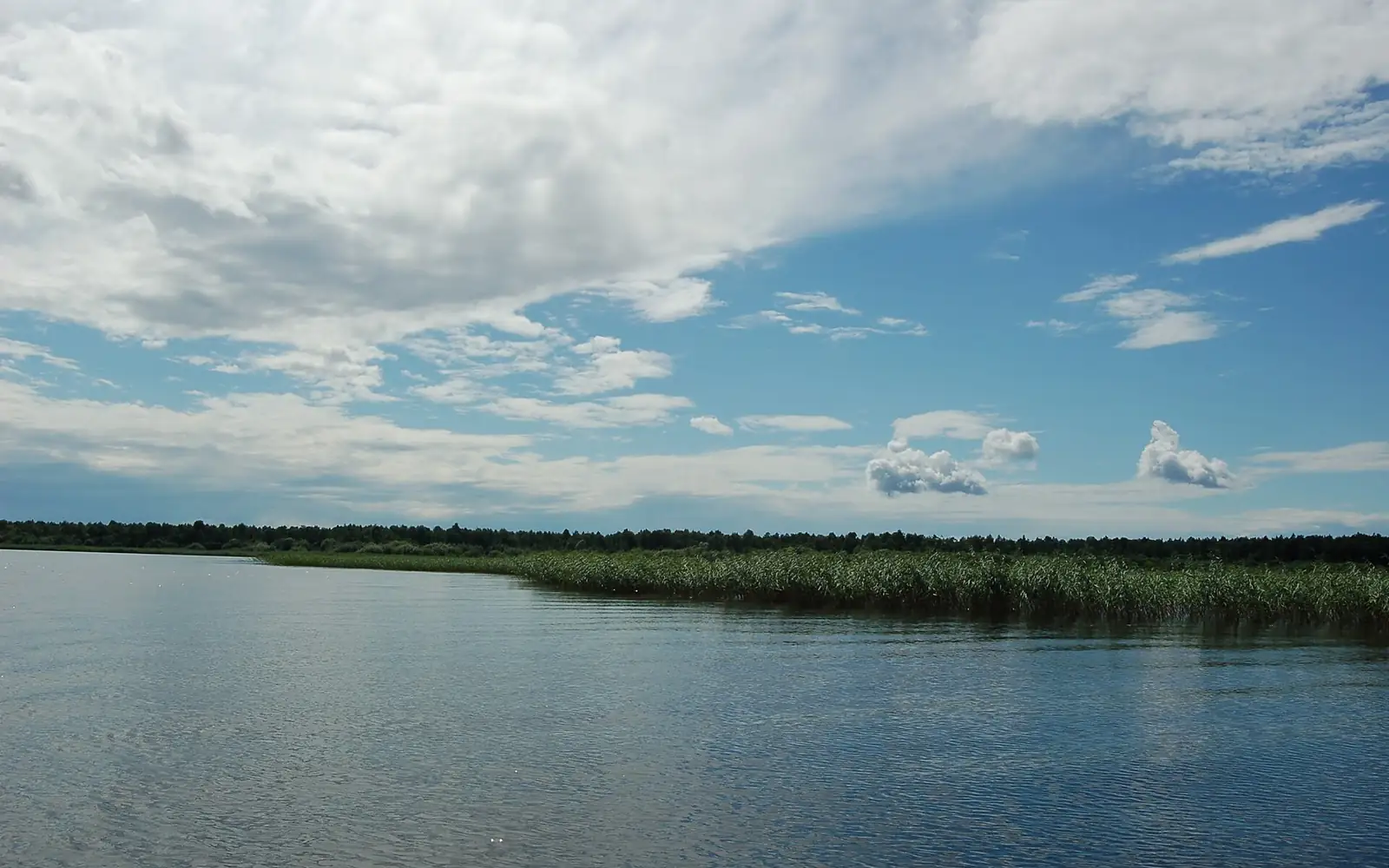 Воже (2)
