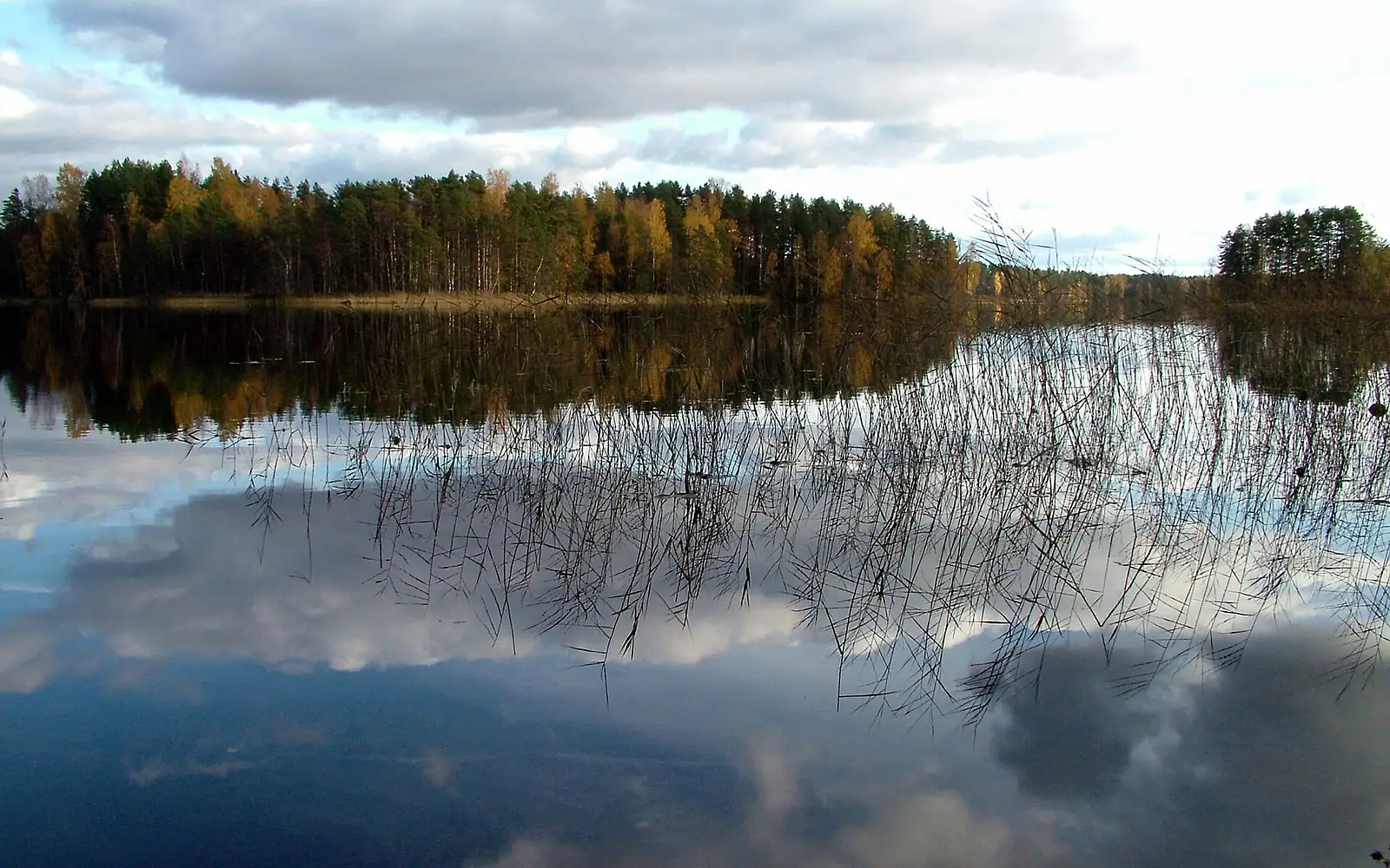 Peaceful Finnish Autumn (4000821169)