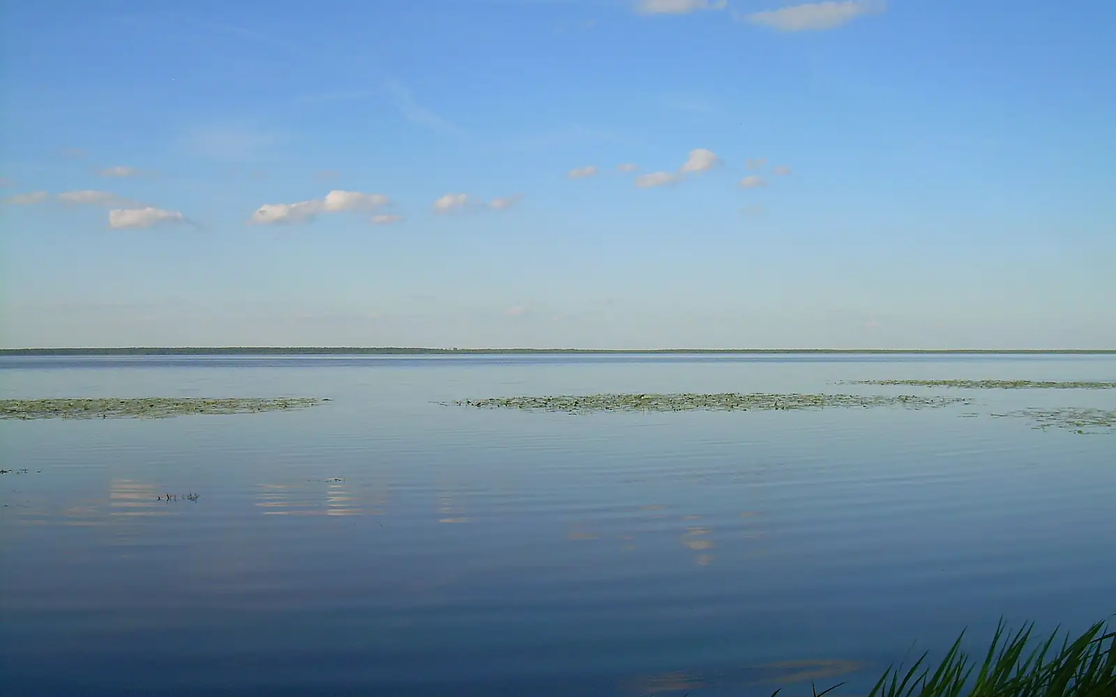 LakeVigonoshanskoe