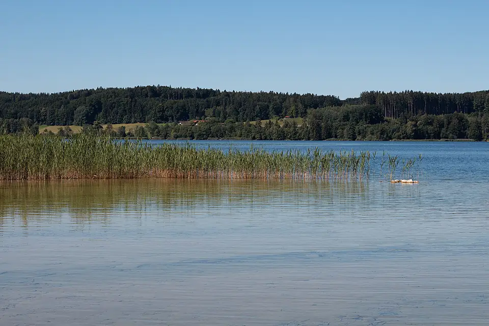 Kirchanschöring - Waginger See - 2021 07 06-2