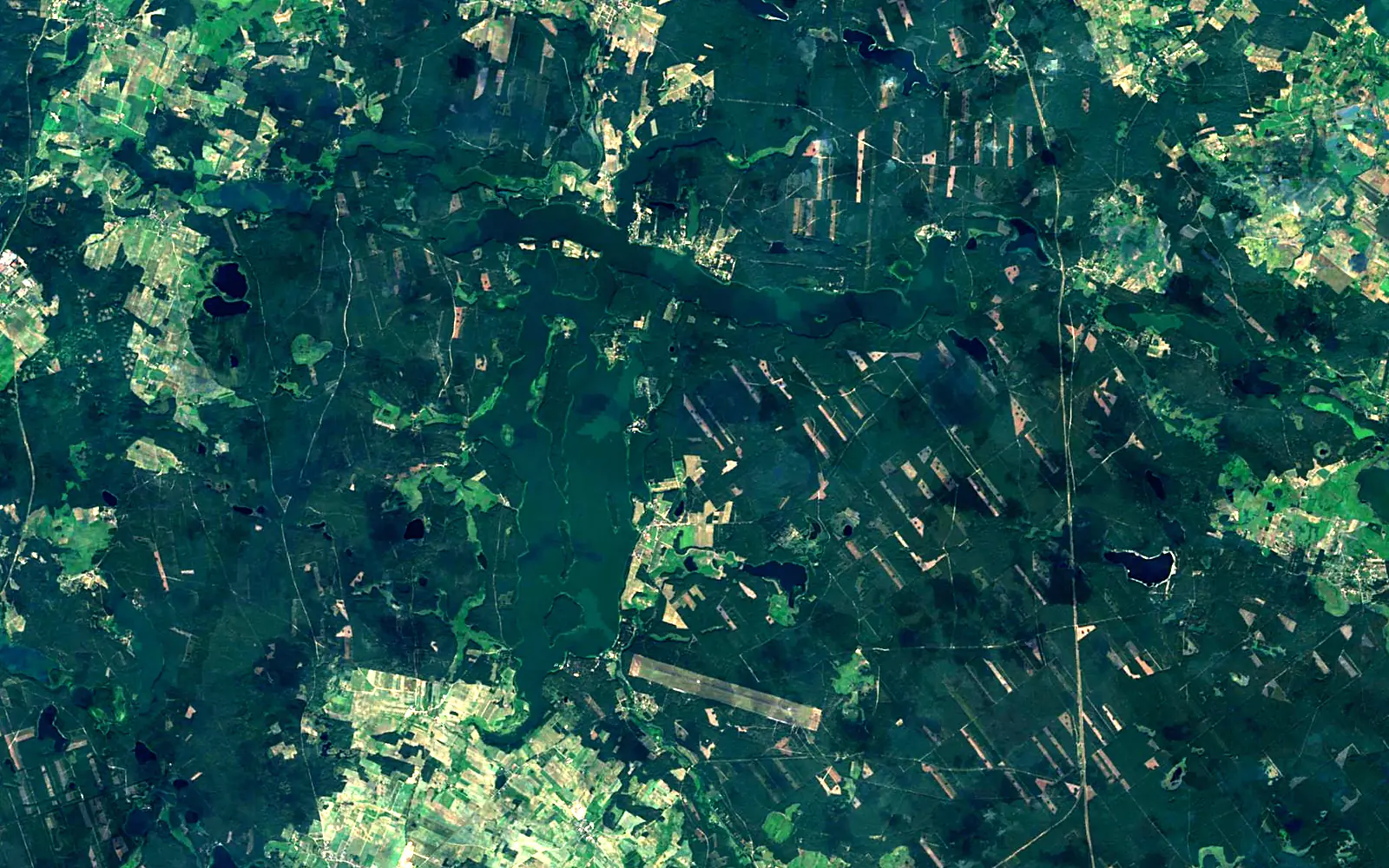 Wdzydze Lake seen from space (Sentinel-2)