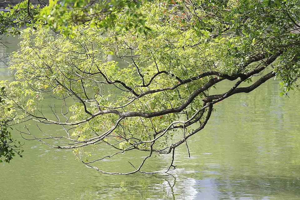 Huizhou Xihu 2013.09.20 09-16-56