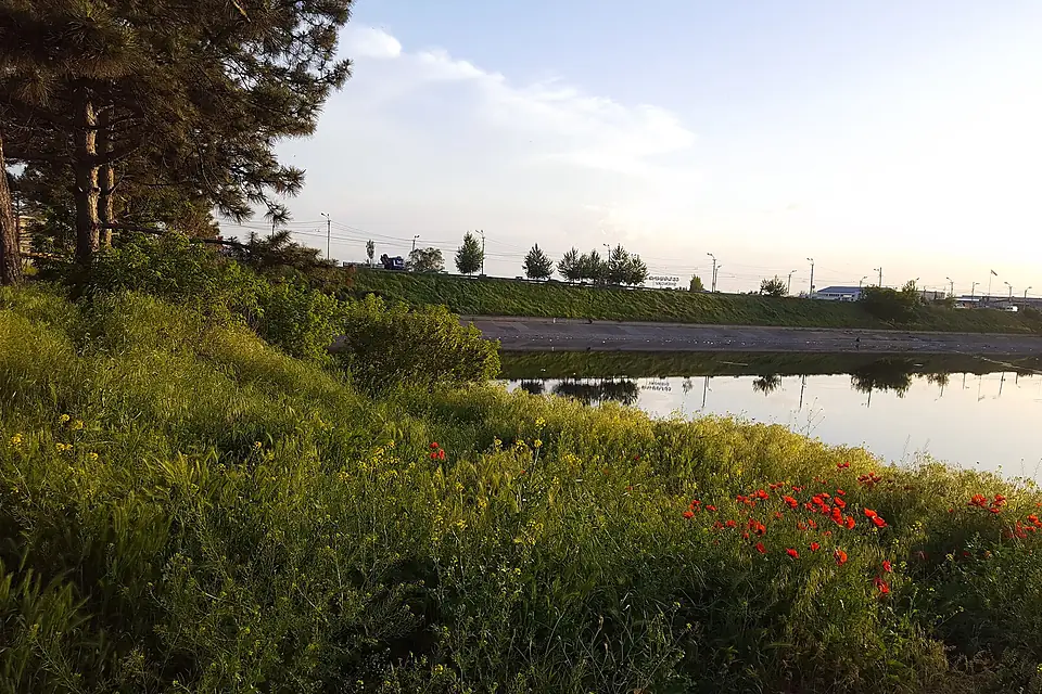 Nature of Yerevan Lake 01