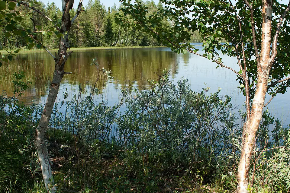 Yli-Kitka