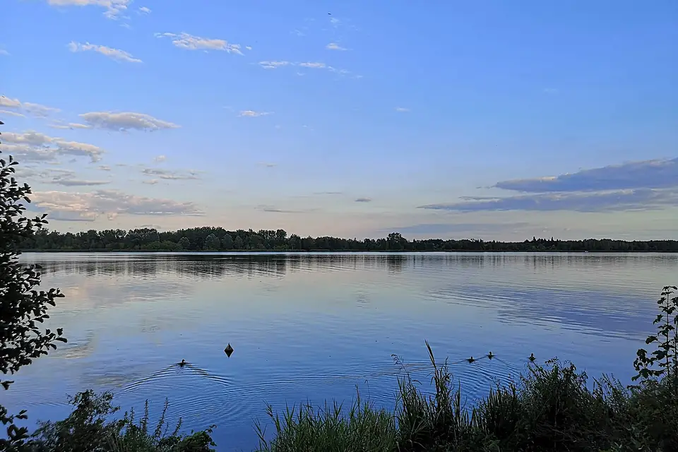 North bank of Zegrze lake, Serock, September 2019 (ii)