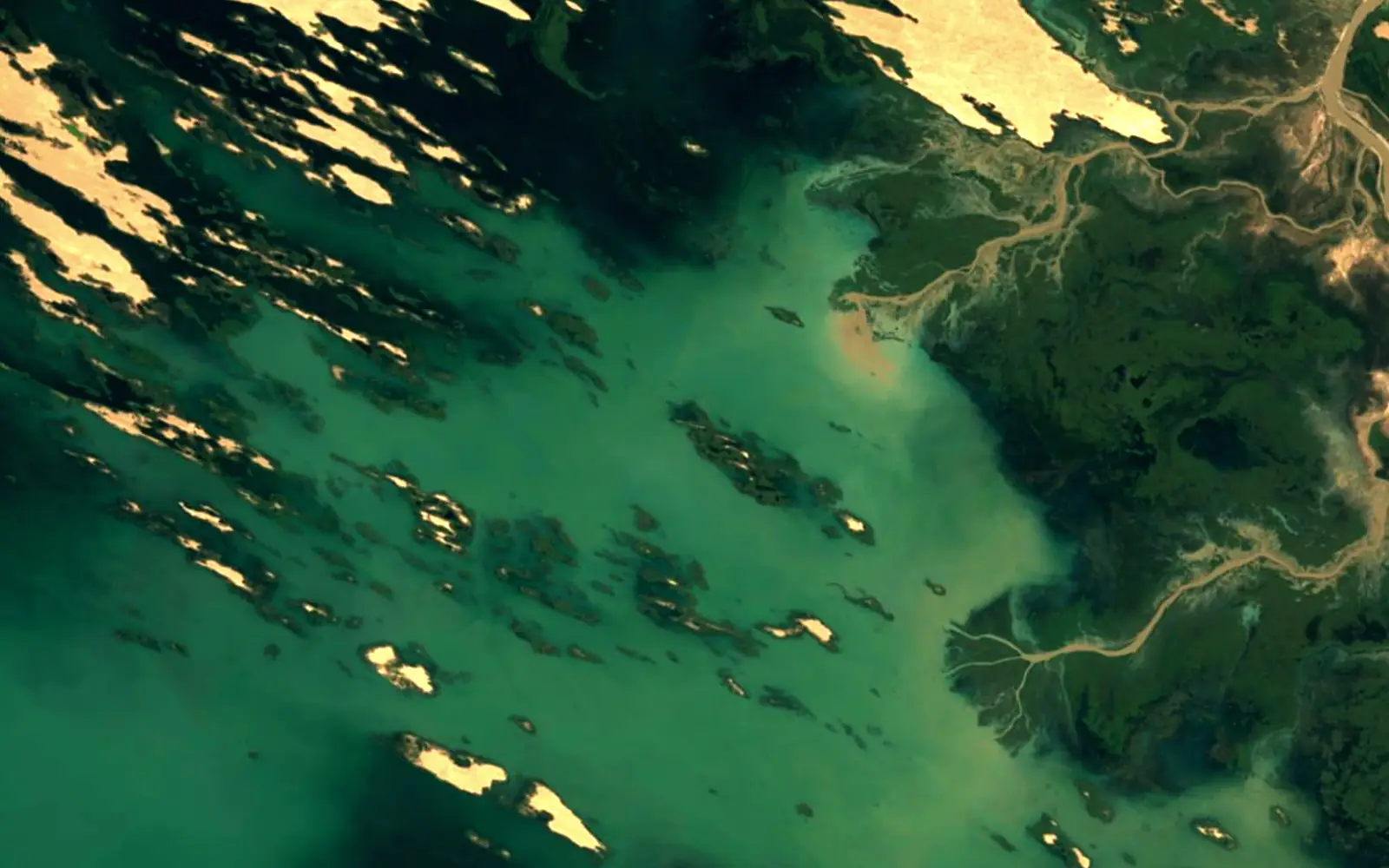 Zeid reservoir seen from space (Sentinel-2)